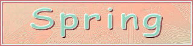 site/trad-elaine/elaine-2025/spring/titre_blog.jpg