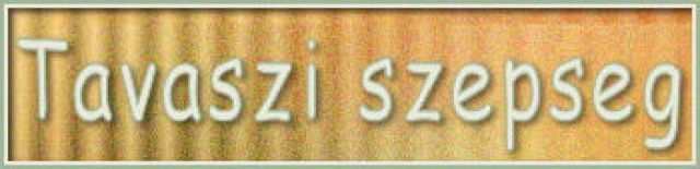 site/trad-enikoe/2025/tavaszi_szepseg/titre_blog.jpg
