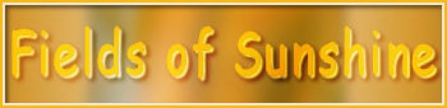 site/trad-kniri/2026_et_plus/field_of_sunshine_/titre_fields_blog.jpg