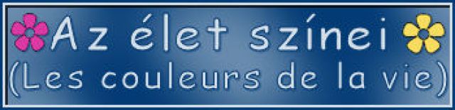 site/trad-mary_tutorials/2025/aze_let_szinei_les_couleurs_de_la_vie/titre_blog2.jpg