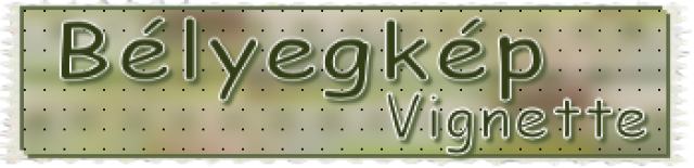 site/trad-mary_tutorials/2025/belyegkep_vignette_/titre_blog.png