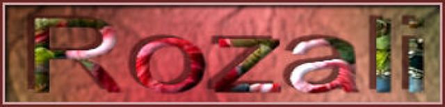 site/trad-mary_tutorials/2025/rozali/titre_blog.jpg