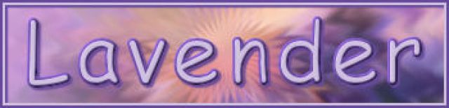 site/trad-ria/2025/lavander/titre_blog_lavander.jpg